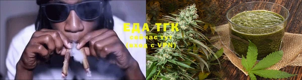 сатива Новозыбков