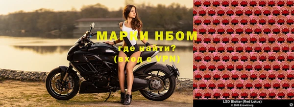 дмт Нефтекумск