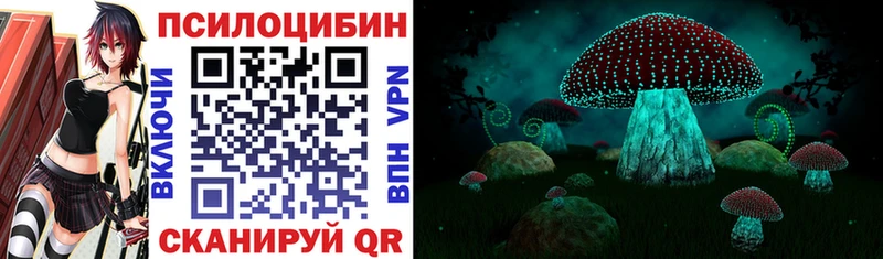 hydra ссылка  Покровск  Псилоцибиновые грибы Psilocybine cubensis 